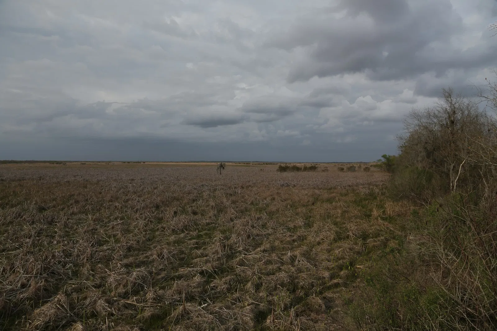Jean Lafitte National Historical Park and Preserve