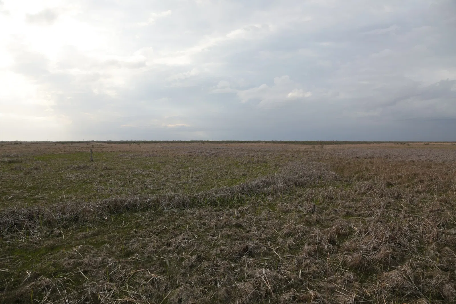 Jean Lafitte National Historical Park and Preserve