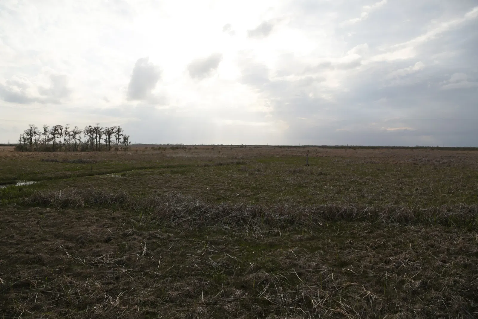 Jean Lafitte National Historical Park and Preserve