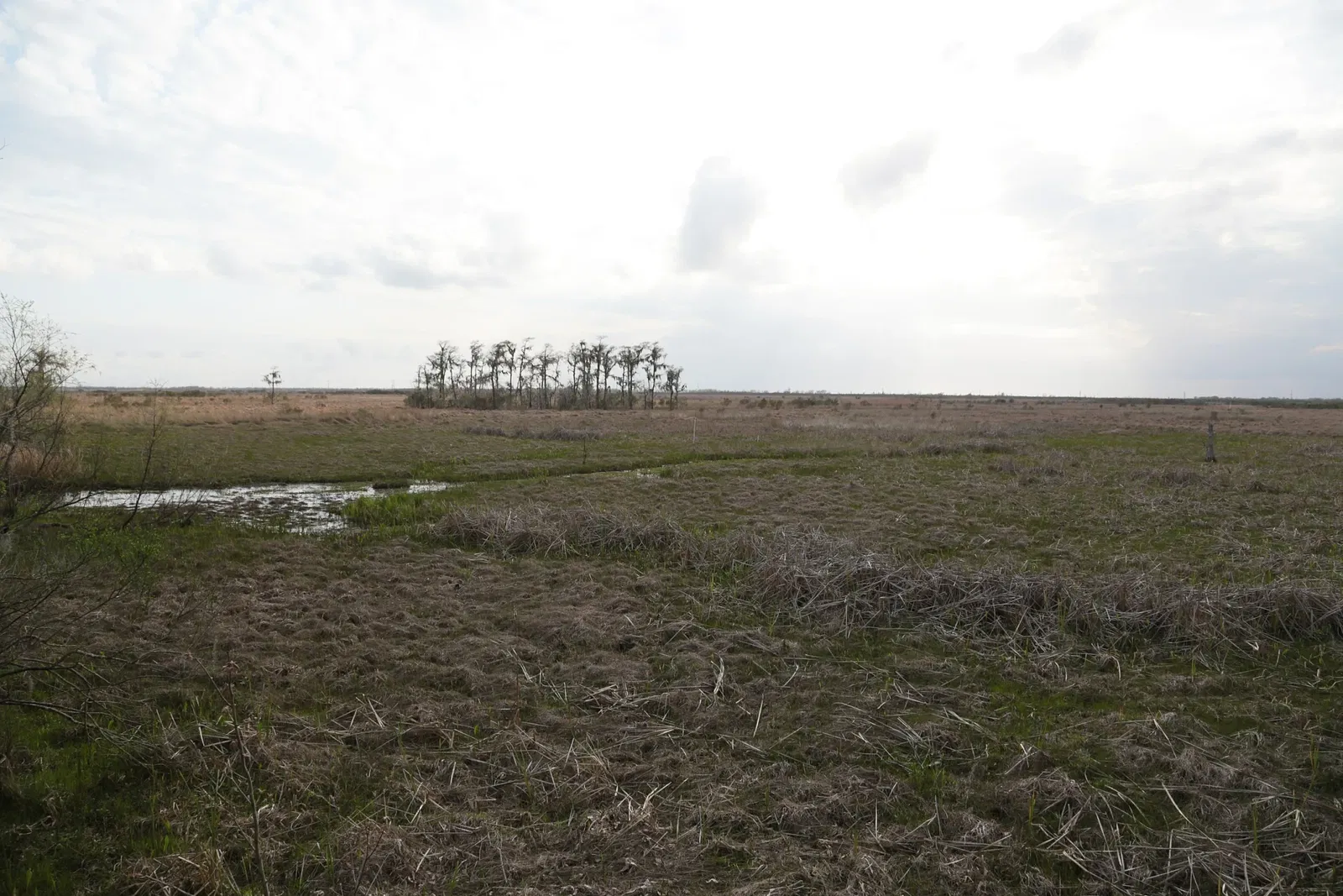 Jean Lafitte National Historical Park and Preserve