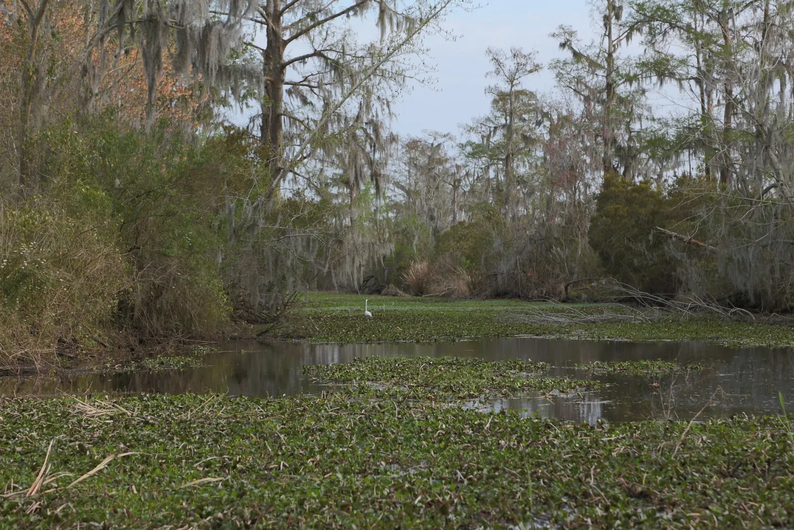 Jean Lafitte National Historical Park and Preserve