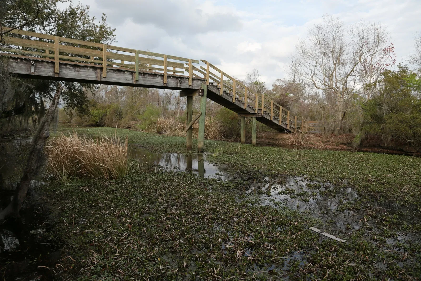 Parc historique national et réserve Jean Lafitte