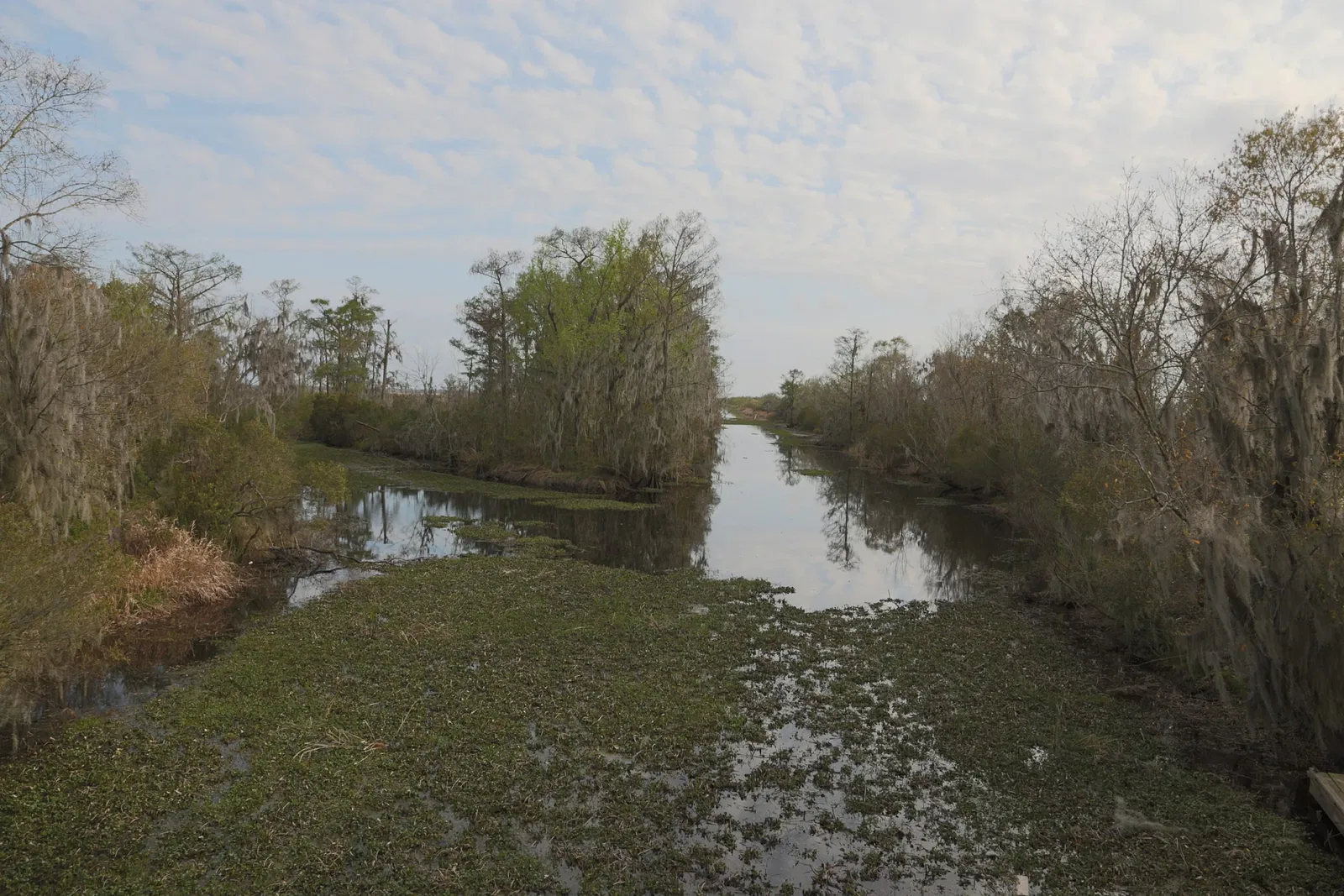 Jean Lafitte National Historical Park and Preserve