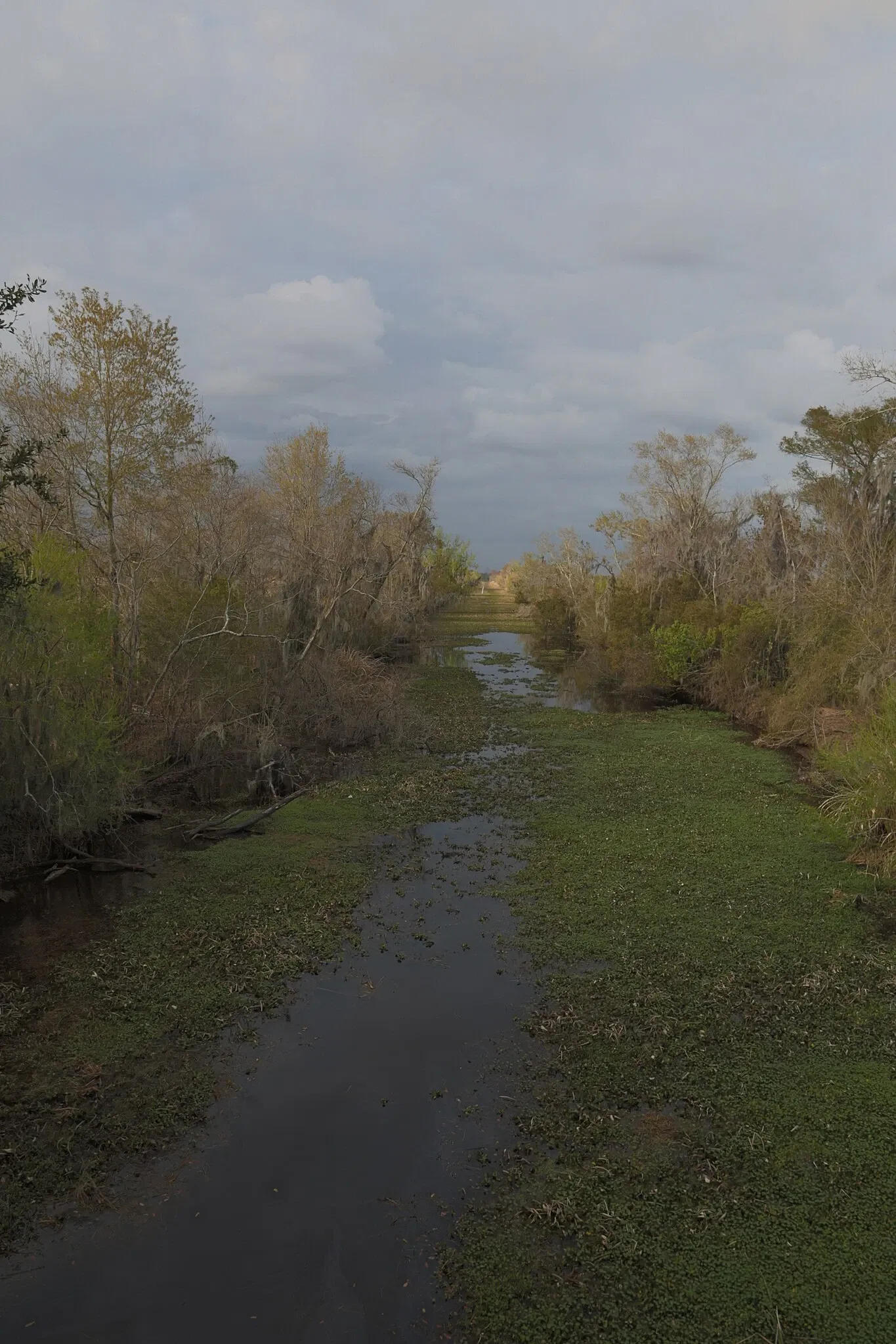 Jean Lafitte National Historical Park and Preserve