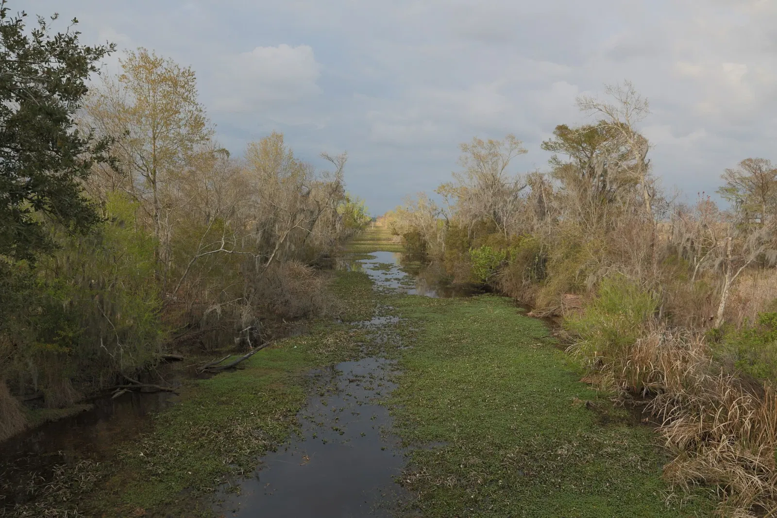 Jean Lafitte National Historical Park and Preserve