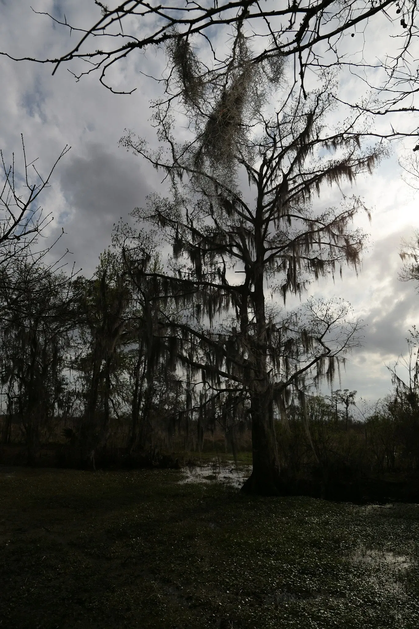 Jean Lafitte National Historical Park and Preserve