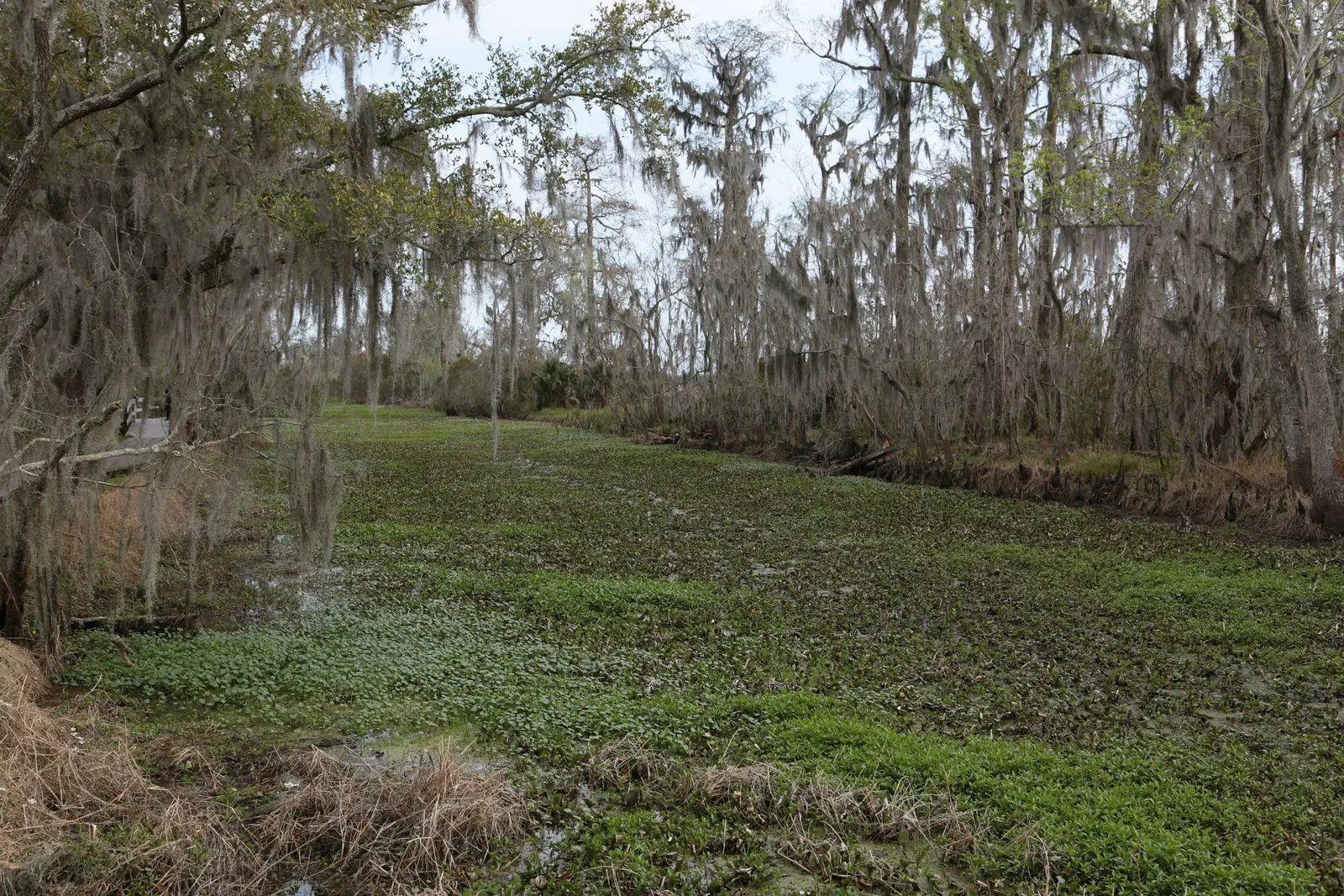 Jean Lafitte National Historical Park and Preserve