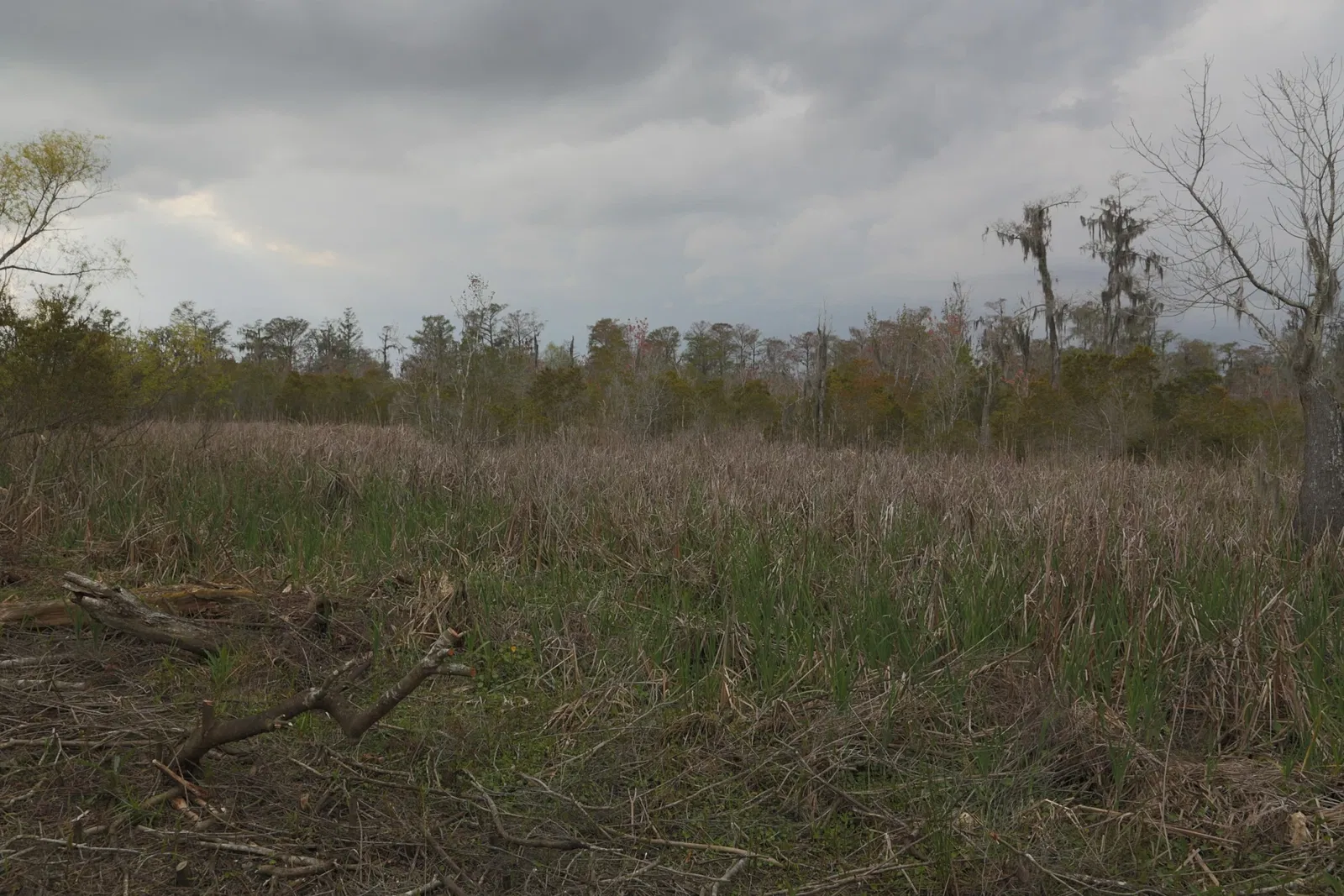 Jean Lafitte National Historical Park and Preserve