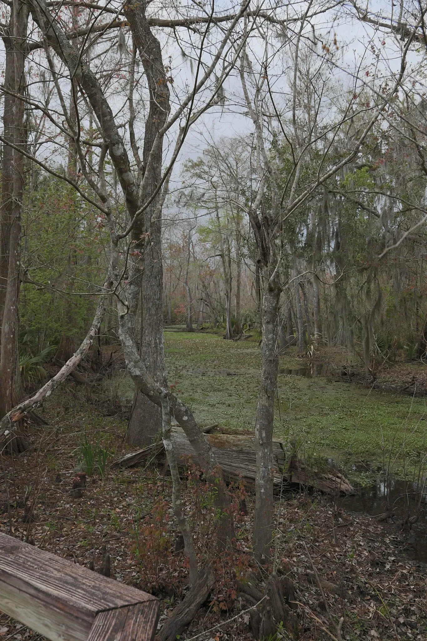 Parc historique national et réserve Jean Lafitte