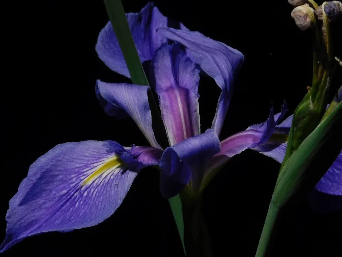 Jean Lafitte National Historical Park and Preserve