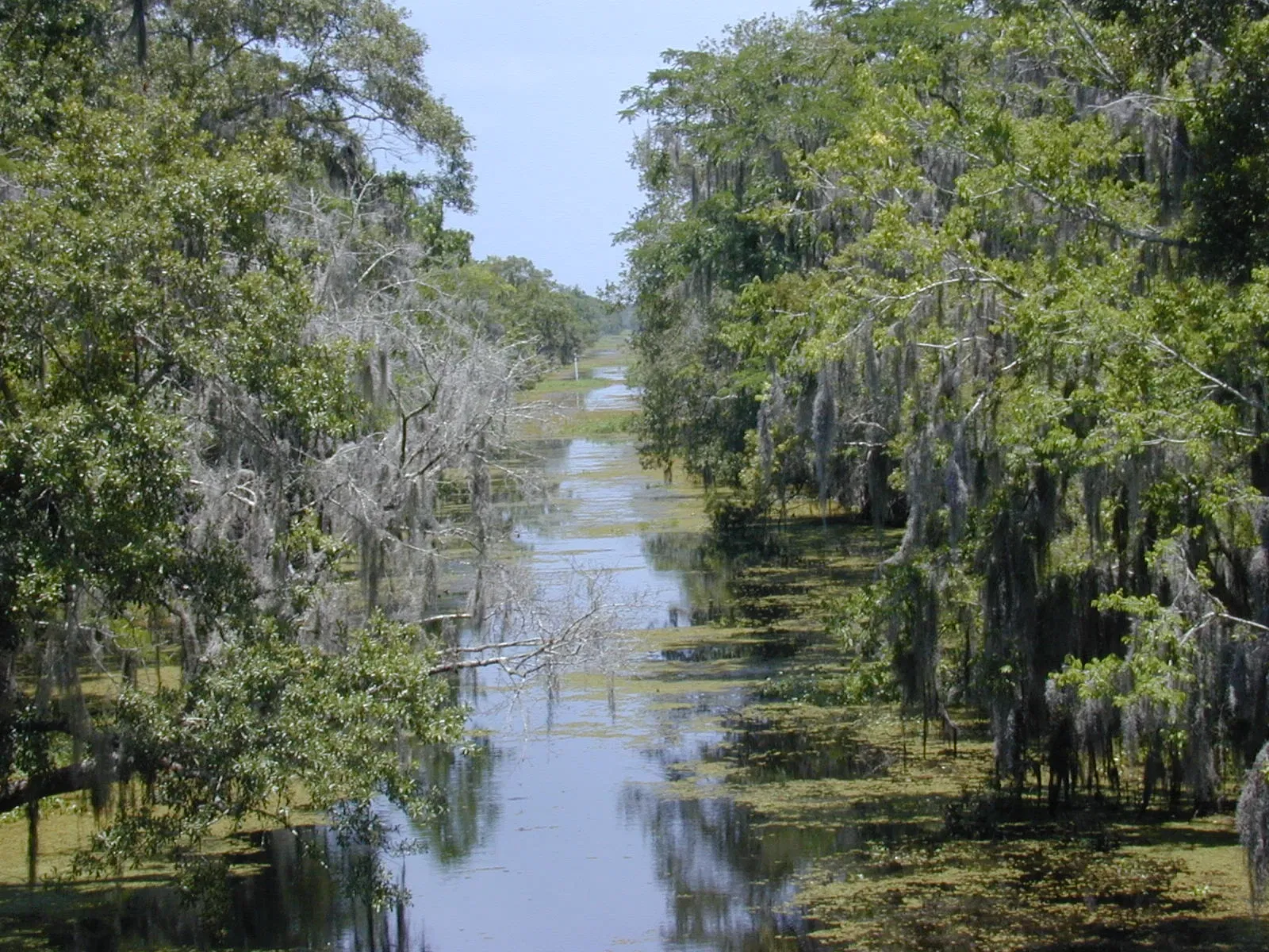 Parc historique national et réserve Jean Lafitte