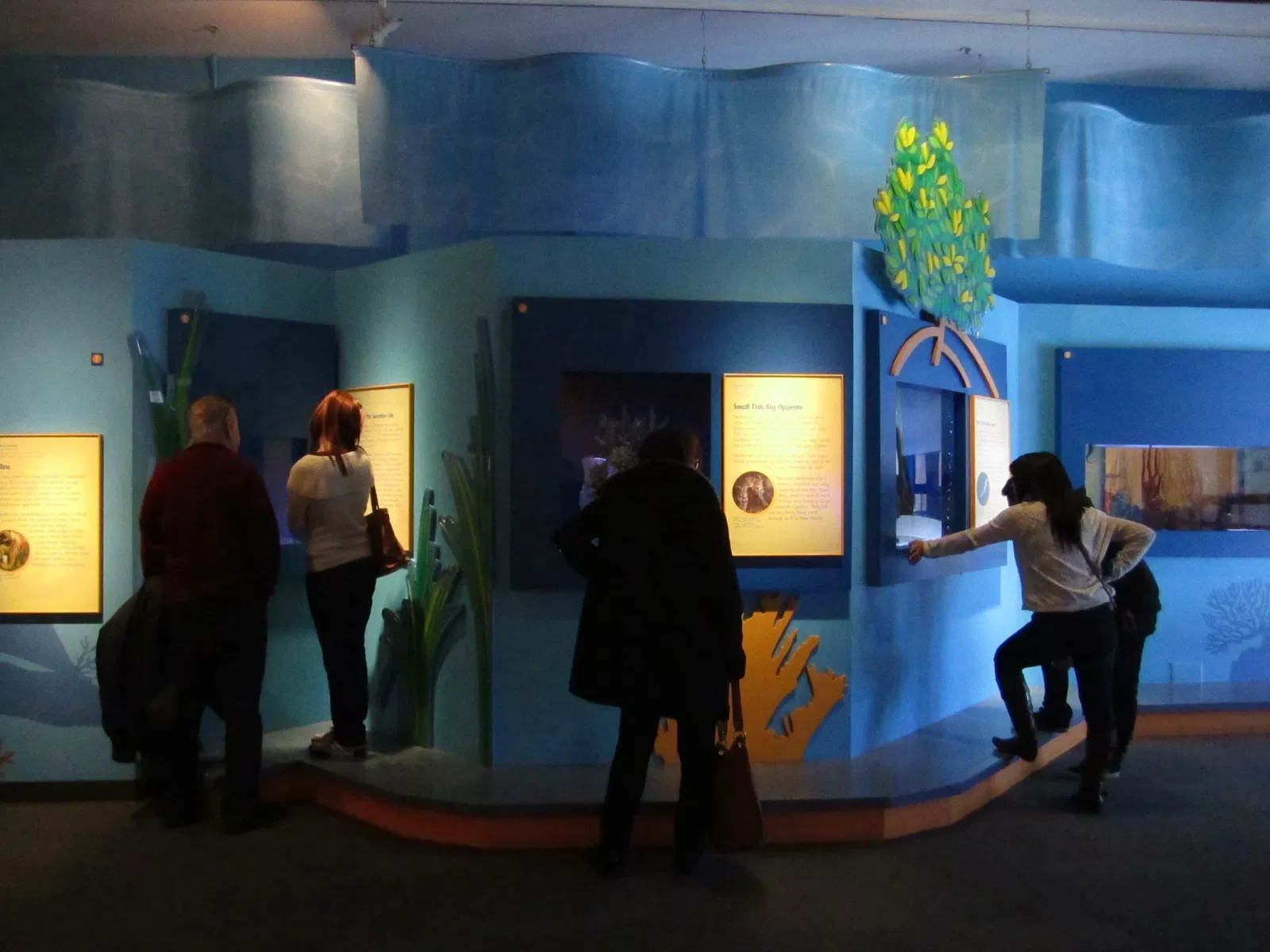 Birch Aquarium