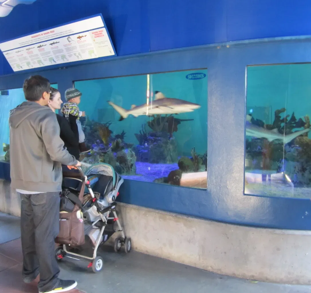 Birch Aquarium