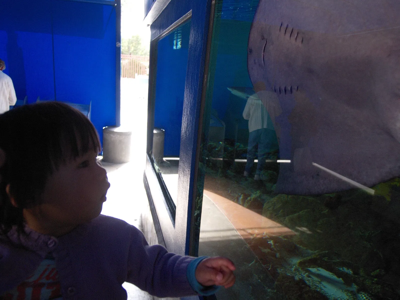 Birch Aquarium