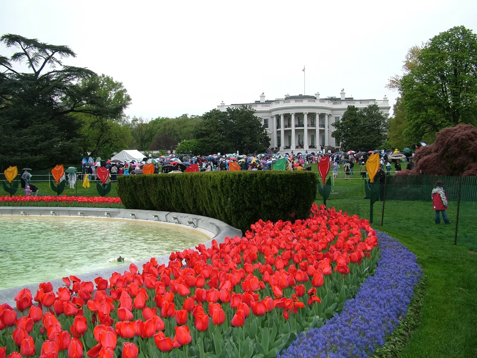 Witte Huis (Washington)