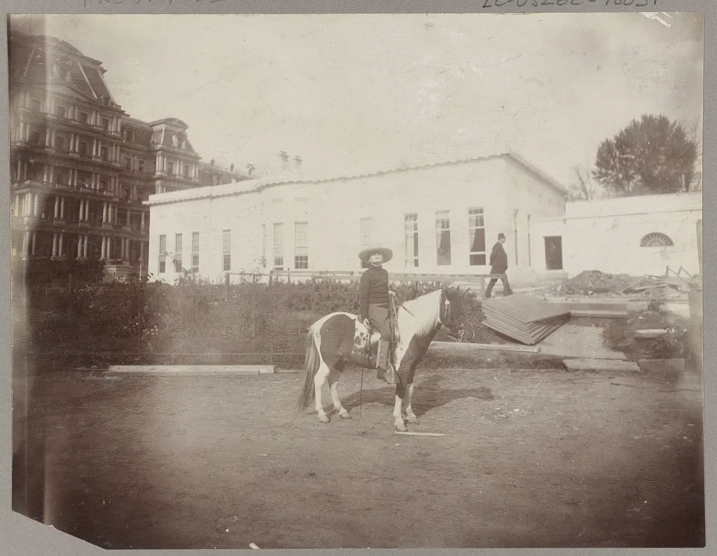 Witte Huis (Washington)