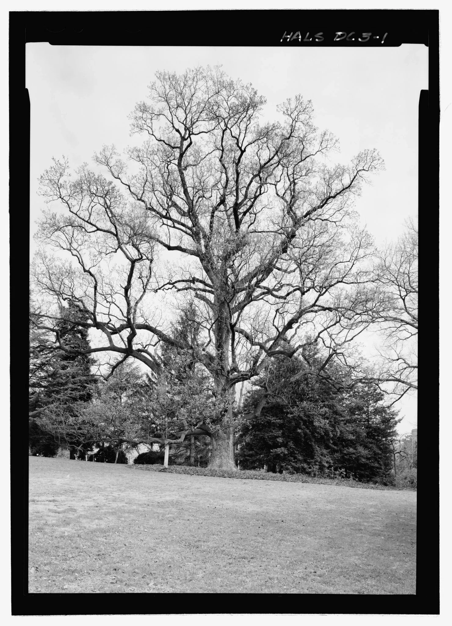 Site historique national Frederick Douglass
