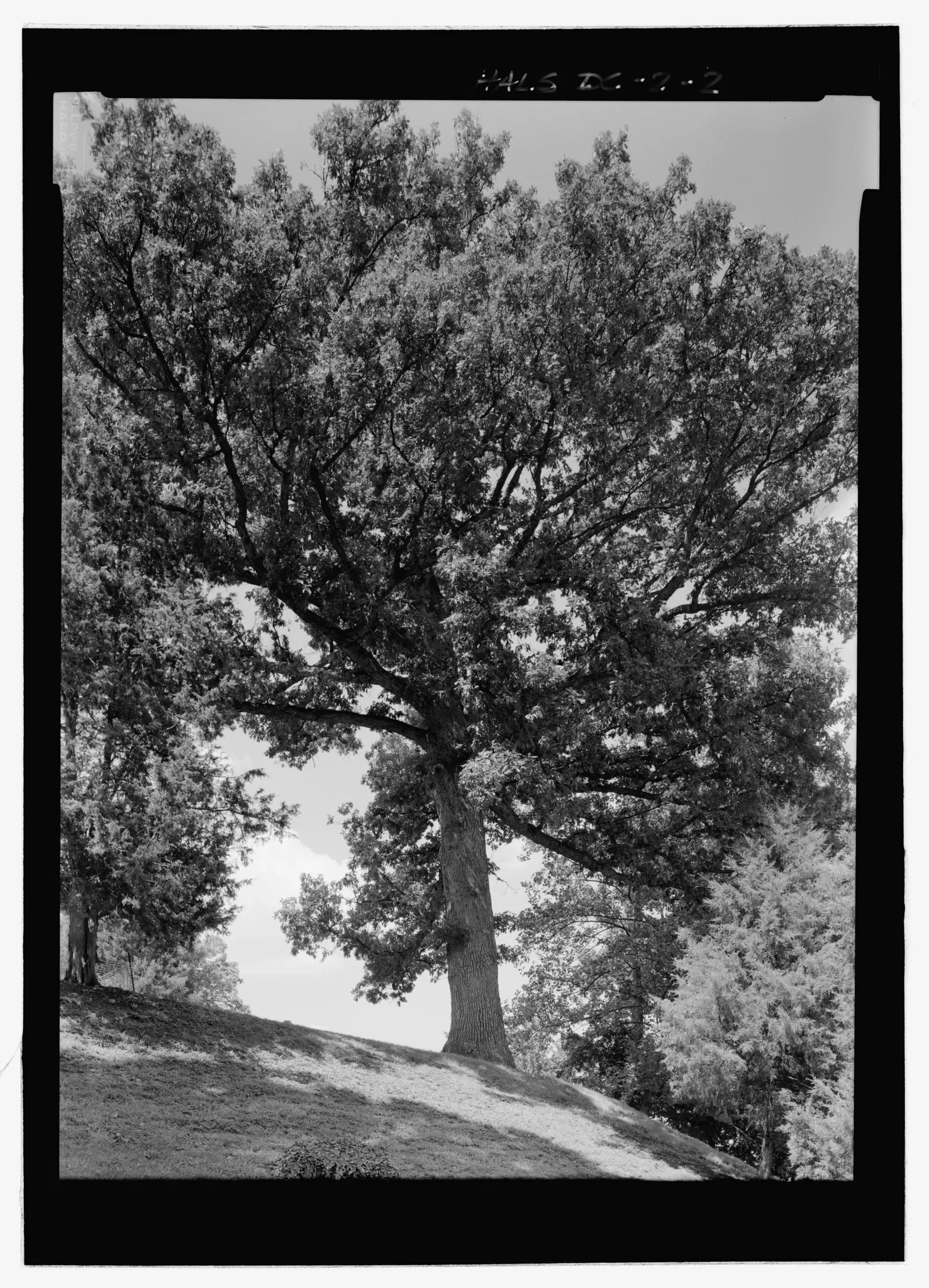 Frederick Douglass National Historic Site