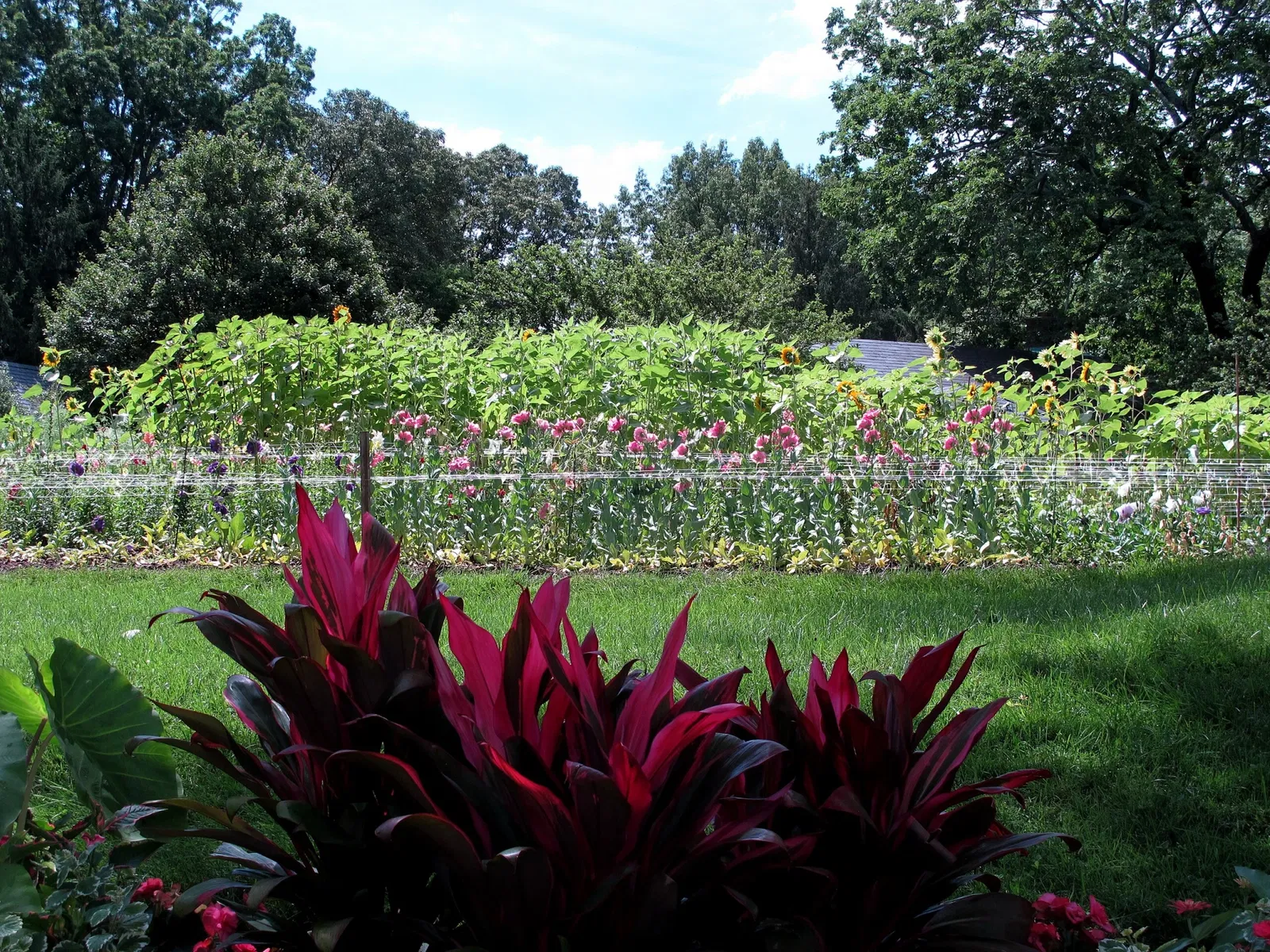 Hillwood Estate, Museum & Gardens