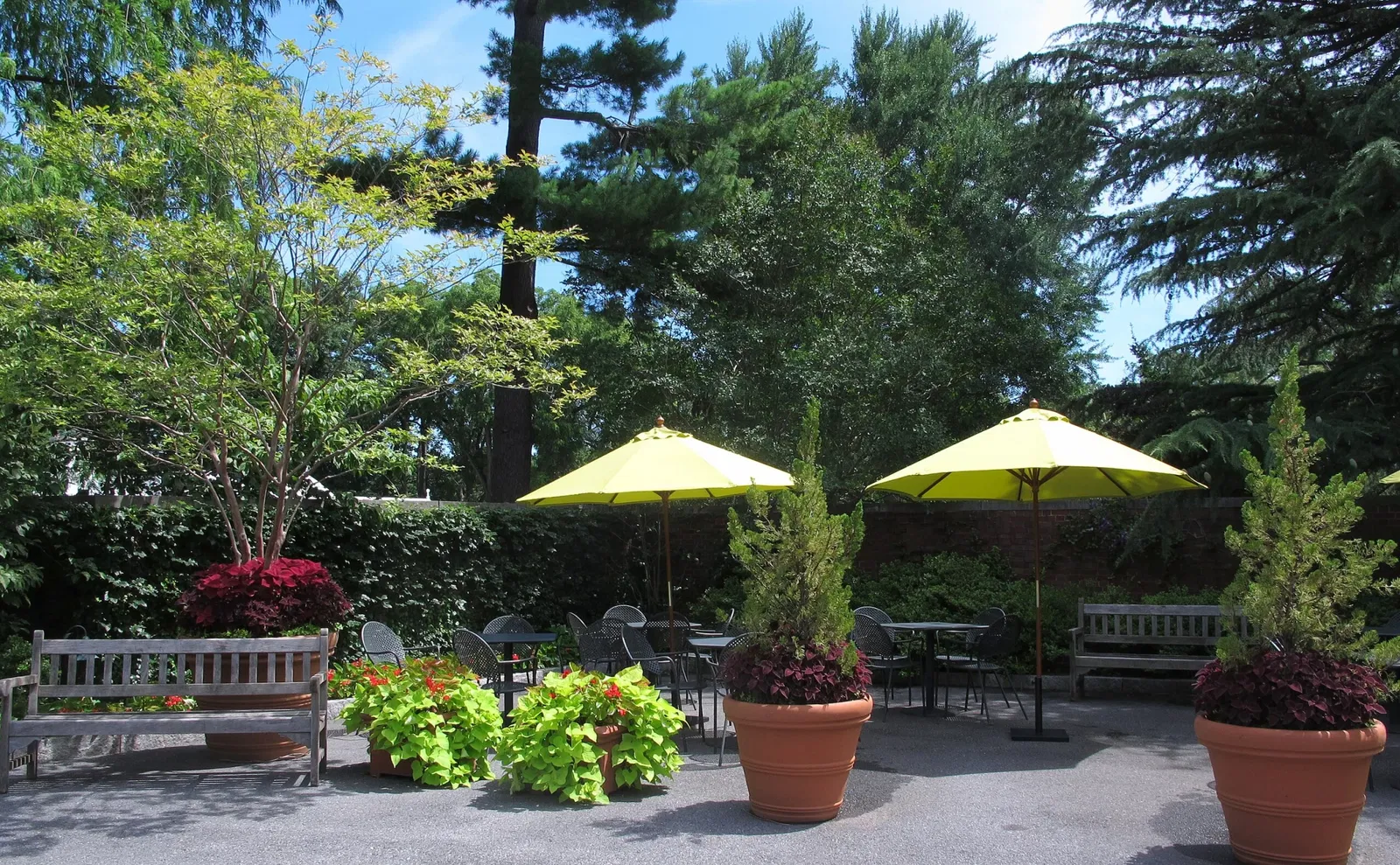 Hillwood Estate, Museum & Gardens