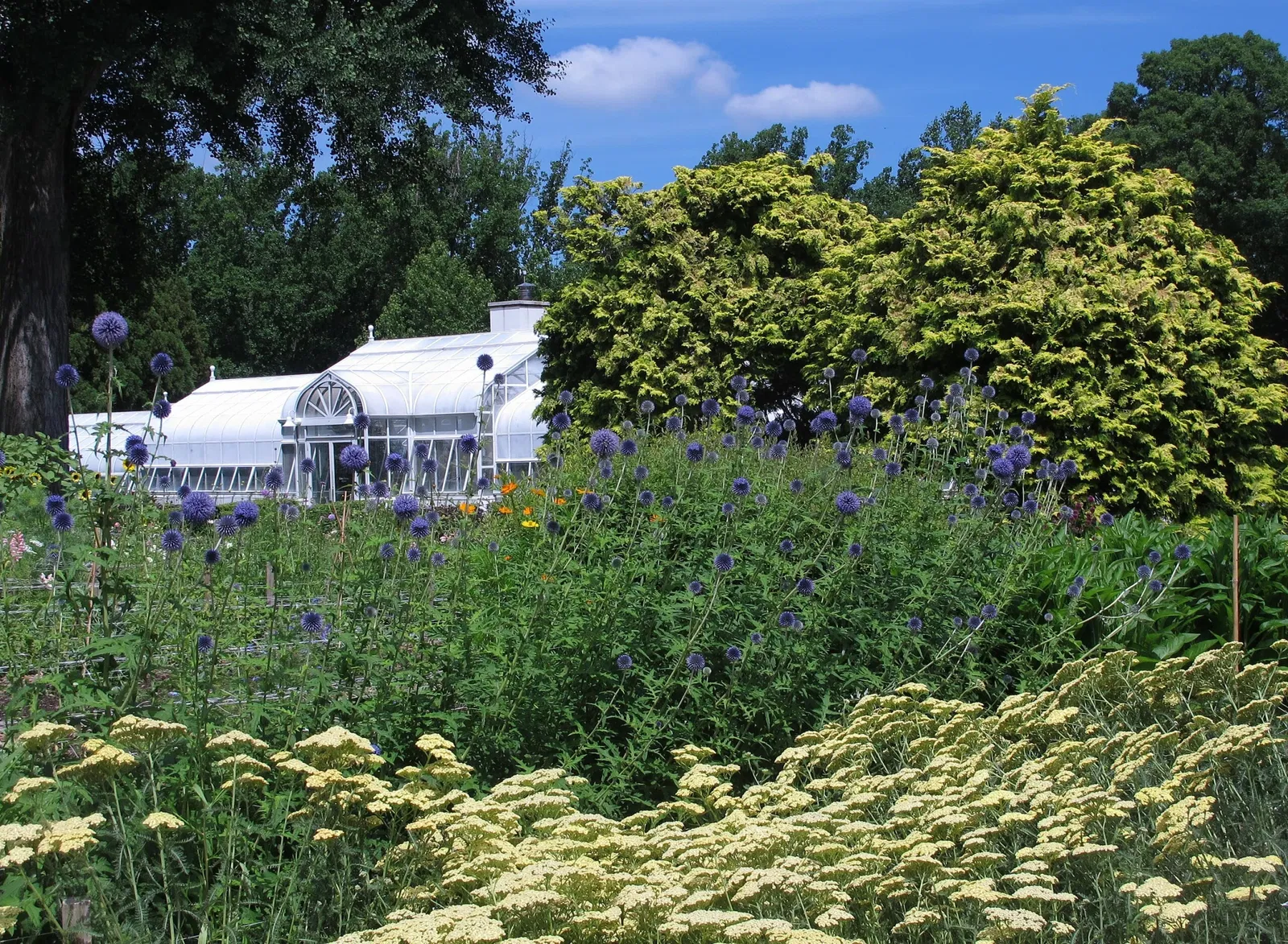 Hillwood Estate, Museum & Gardens