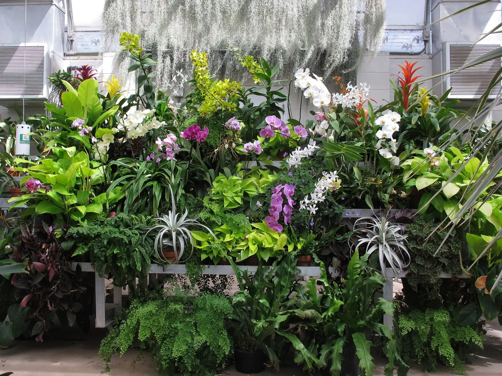 Hillwood Estate, Museum & Gardens