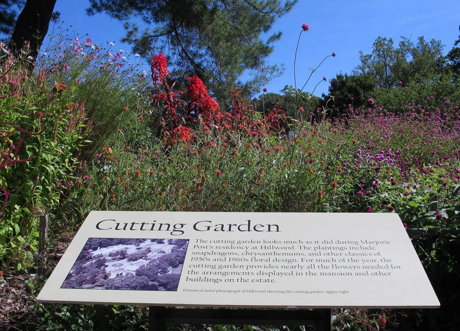 Hillwood Estate, Museum & Gardens