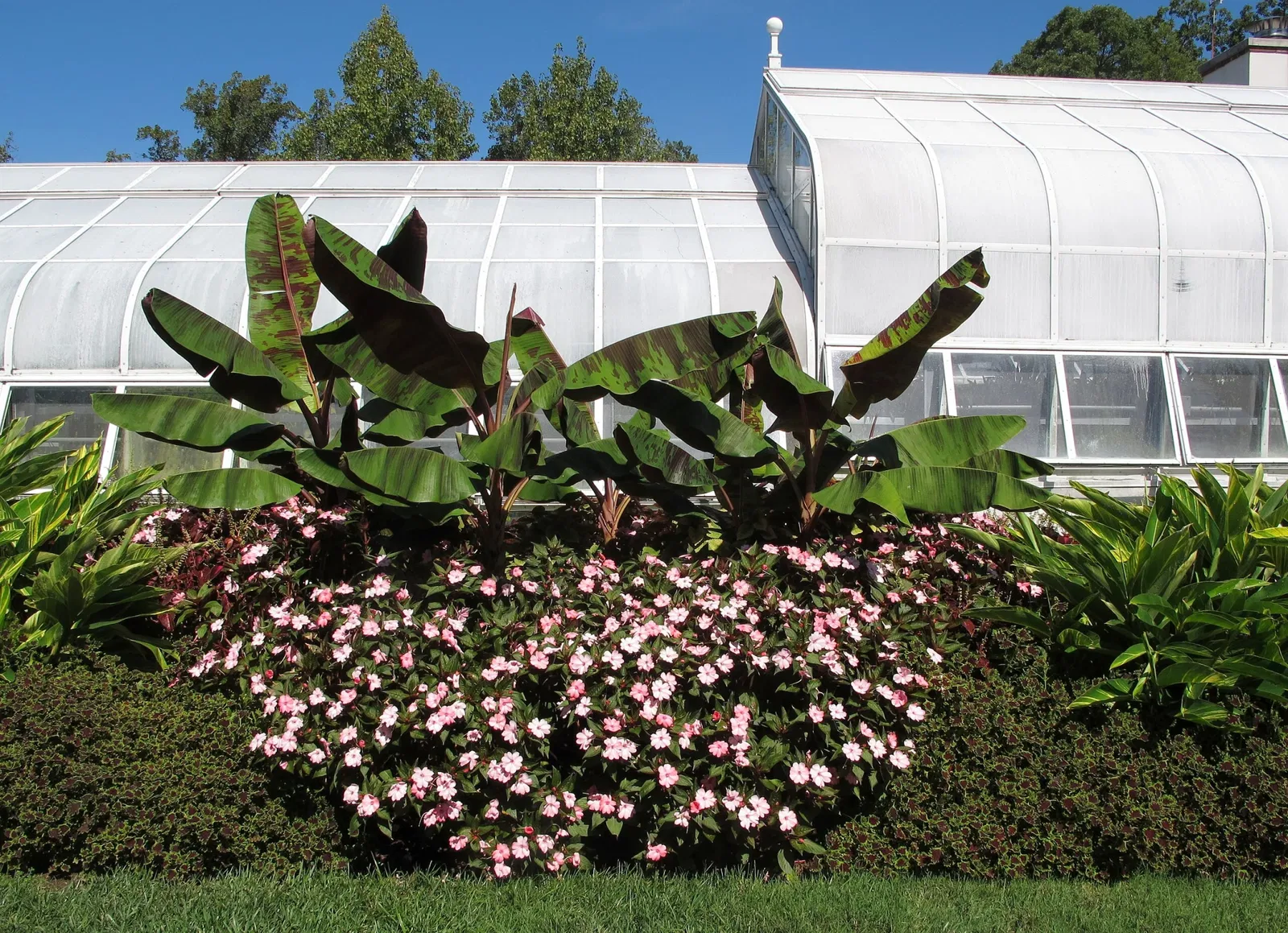 Hillwood Estate, Museum & Gardens