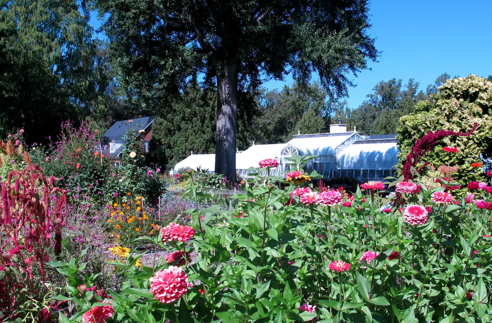 Hillwood Estate, Museum & Gardens