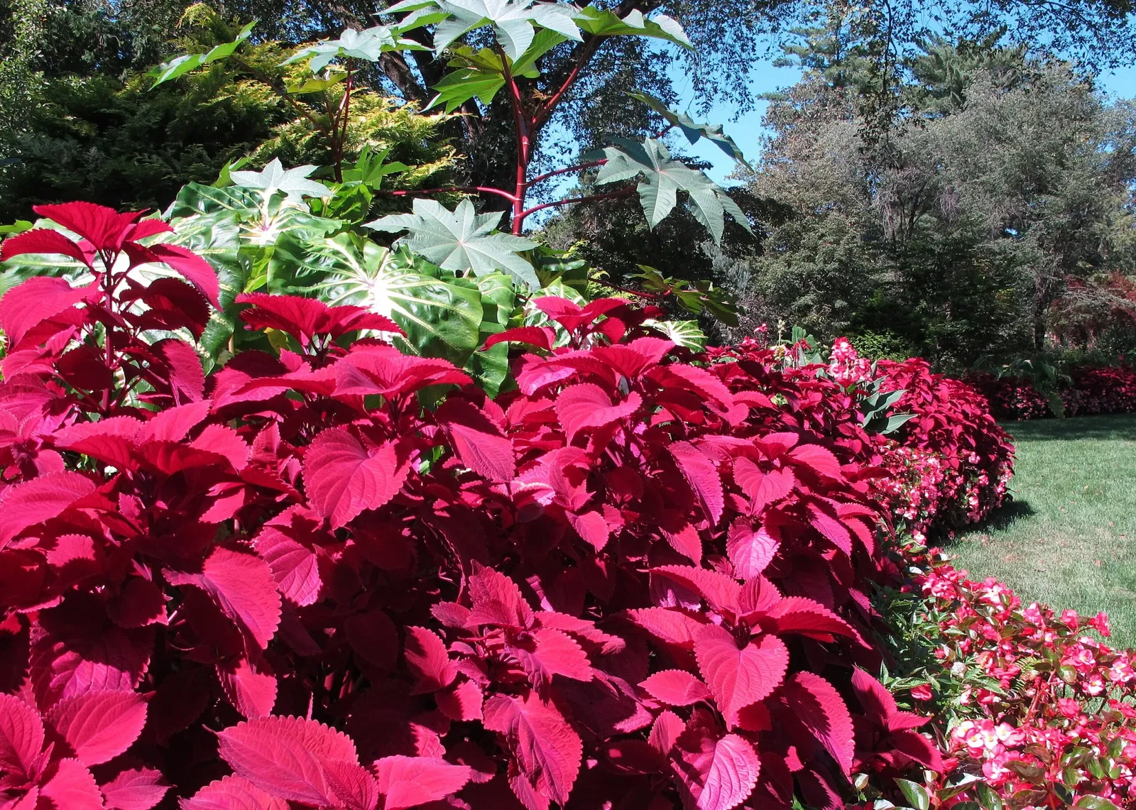 Hillwood Estate, Museum & Gardens