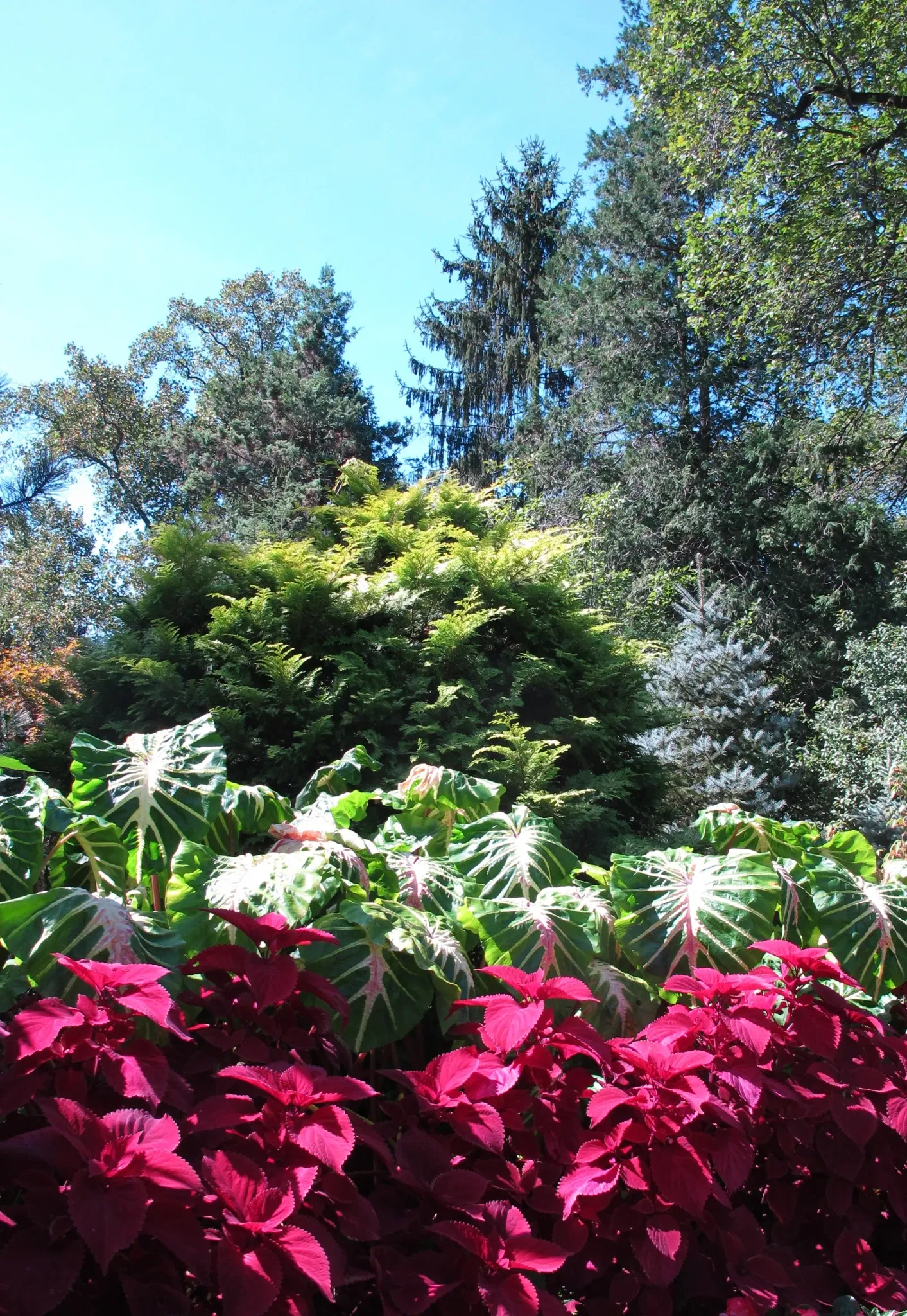 Hillwood Estate, Museum & Gardens