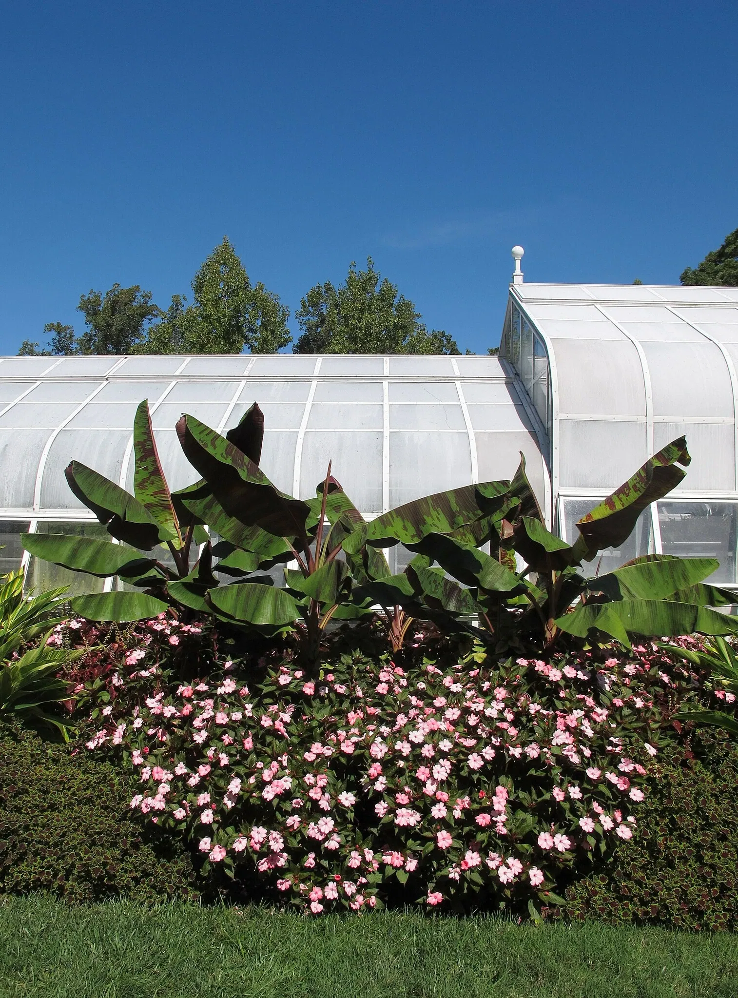 Hillwood Estate, Museum & Gardens