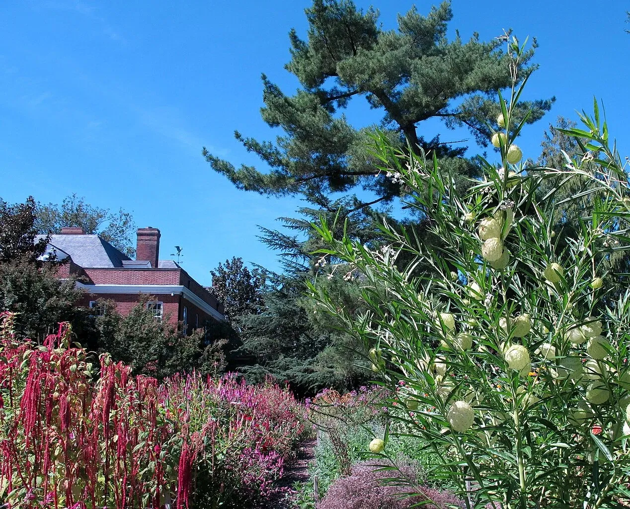 Hillwood Estate, Museum & Gardens