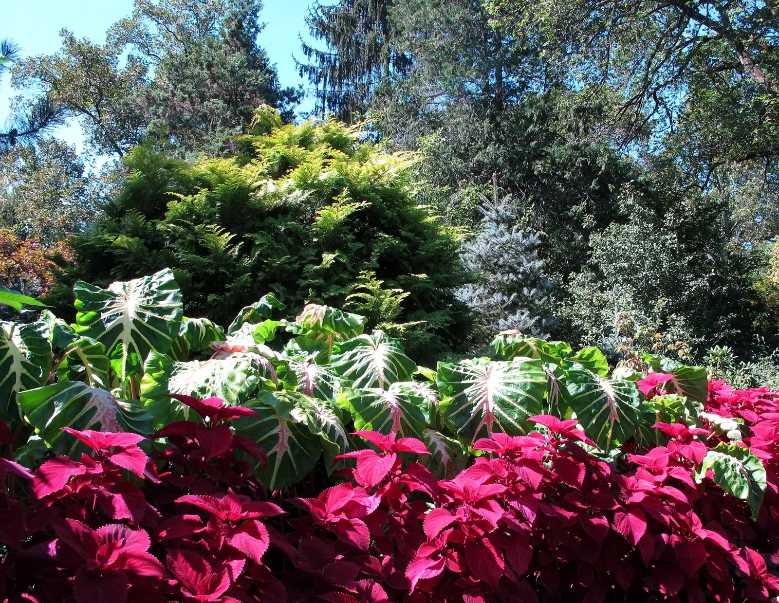 Hillwood Estate, Museum & Gardens