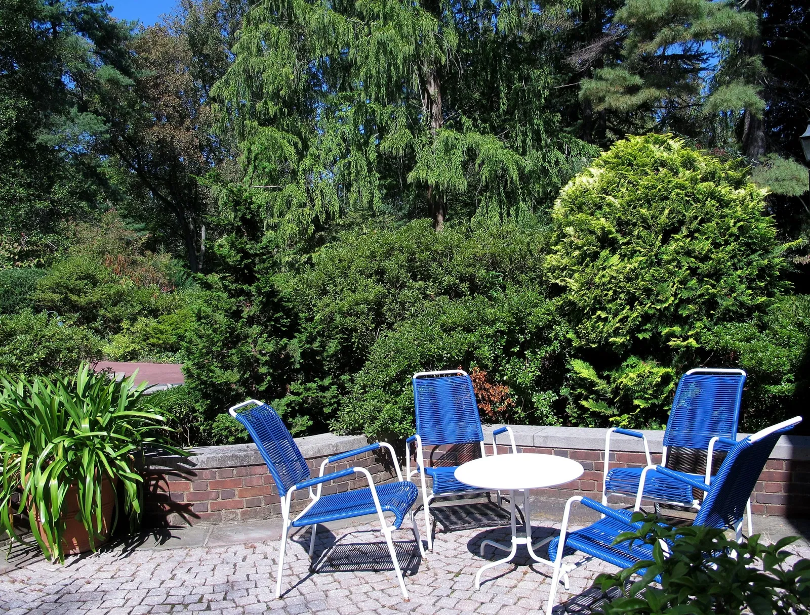 Hillwood Estate, Museum & Gardens