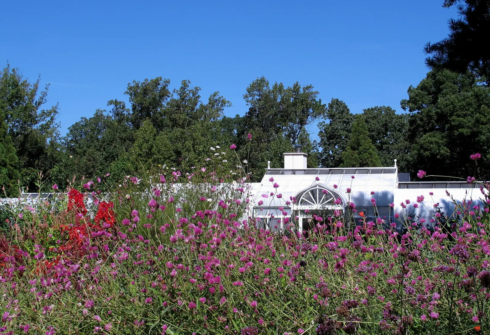 Hillwood Estate, Museum & Gardens