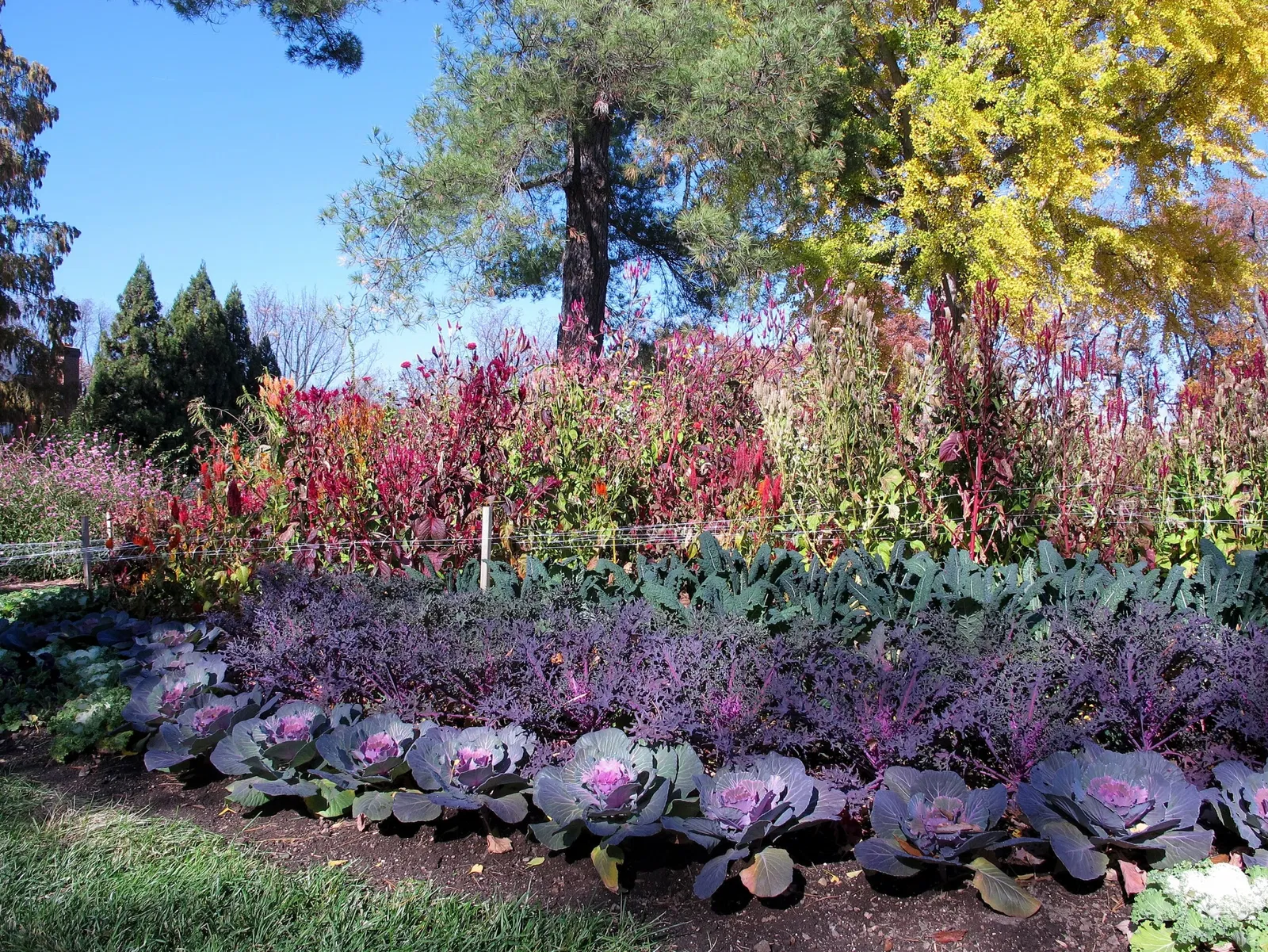 Hillwood Estate, Museum & Gardens