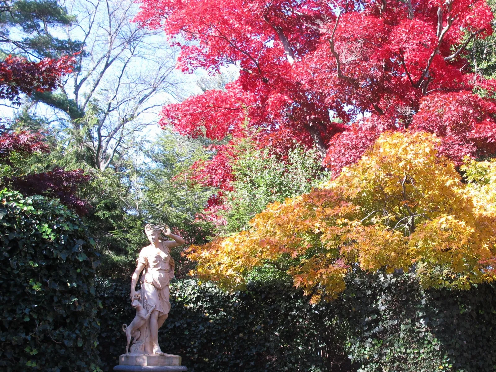 Hillwood Estate, Museum & Gardens