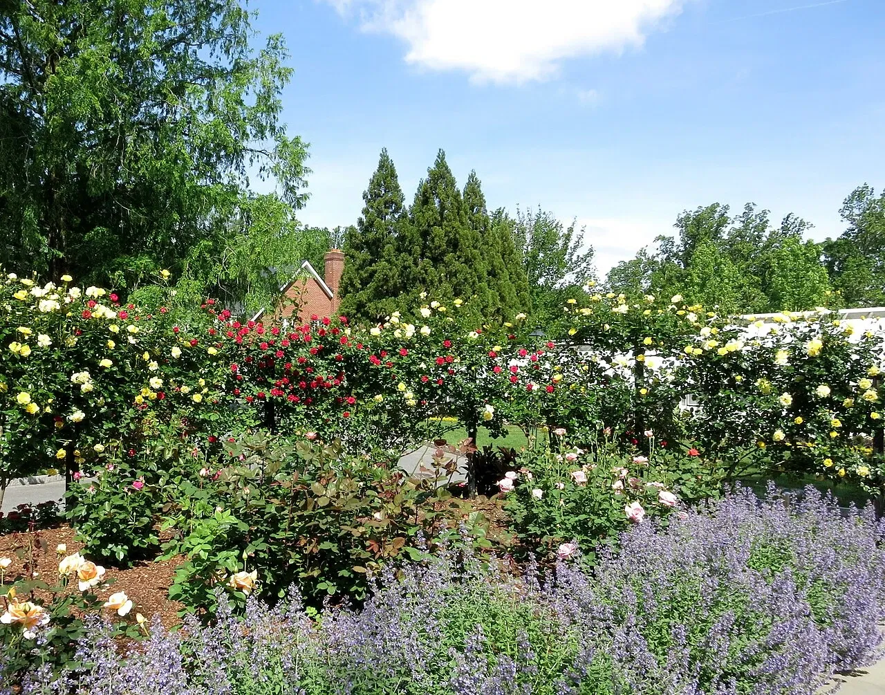 Hillwood Estate, Museum & Gardens