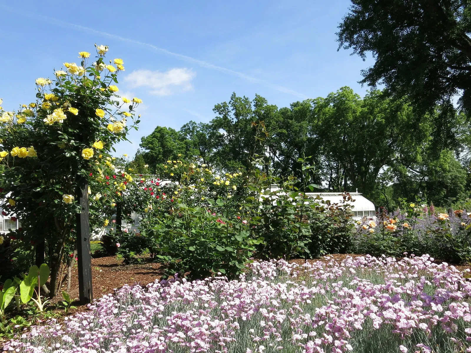 Hillwood Estate, Museum & Gardens