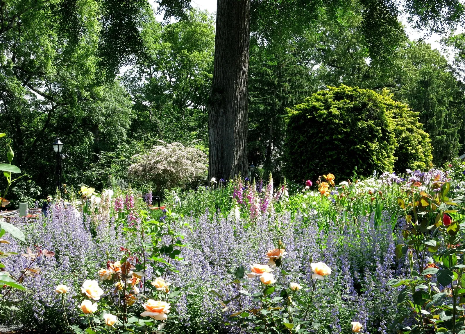 Hillwood Estate, Museum & Gardens