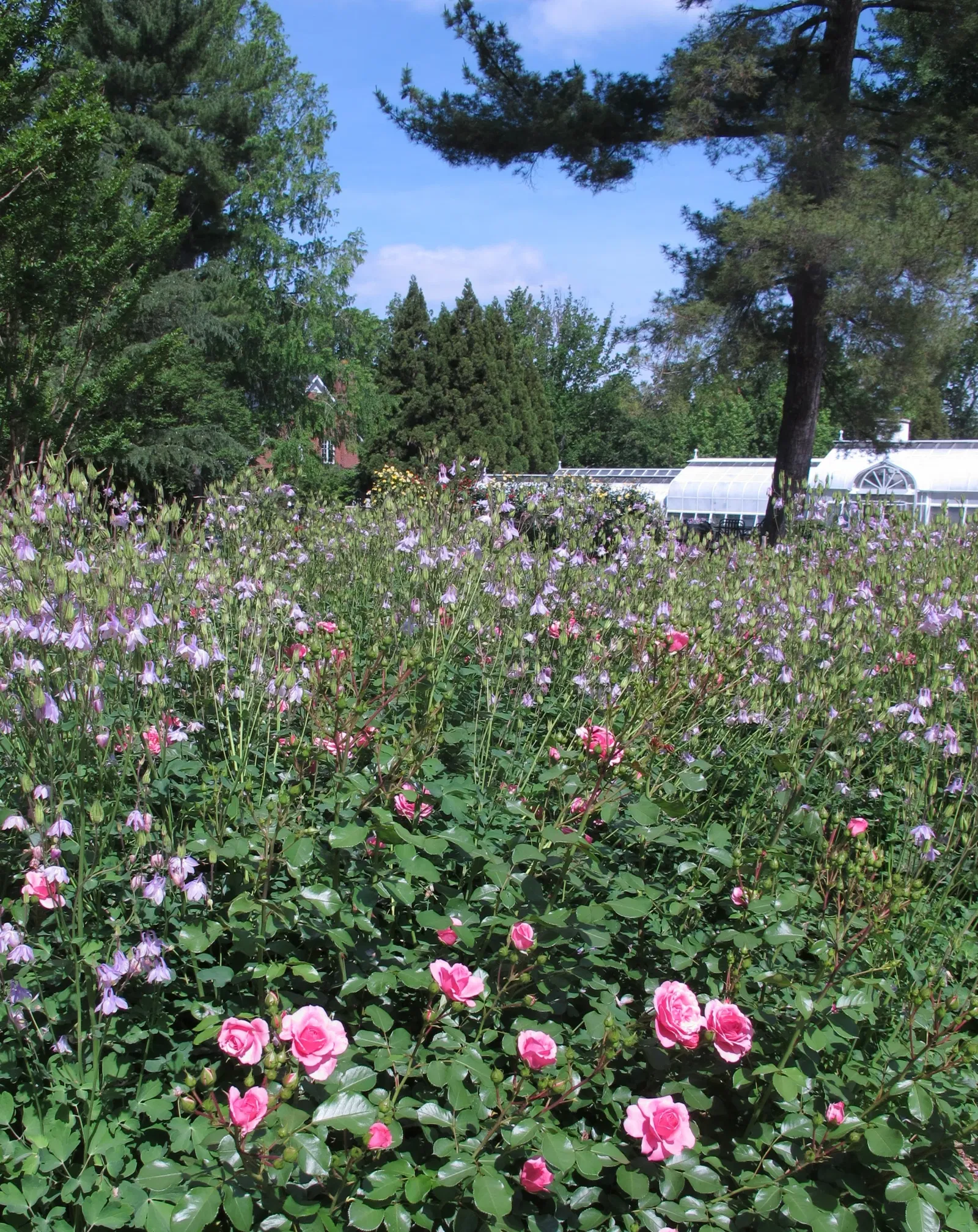 Hillwood Estate, Museum & Gardens