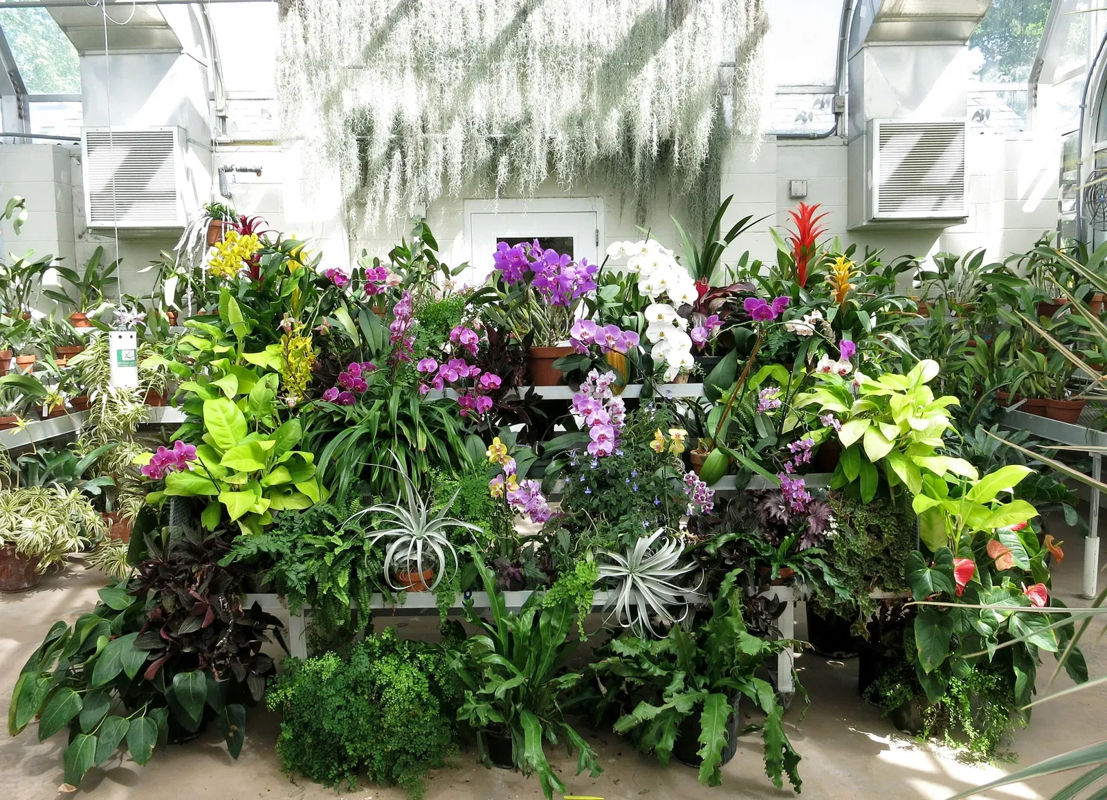 Hillwood Estate, Museum & Gardens