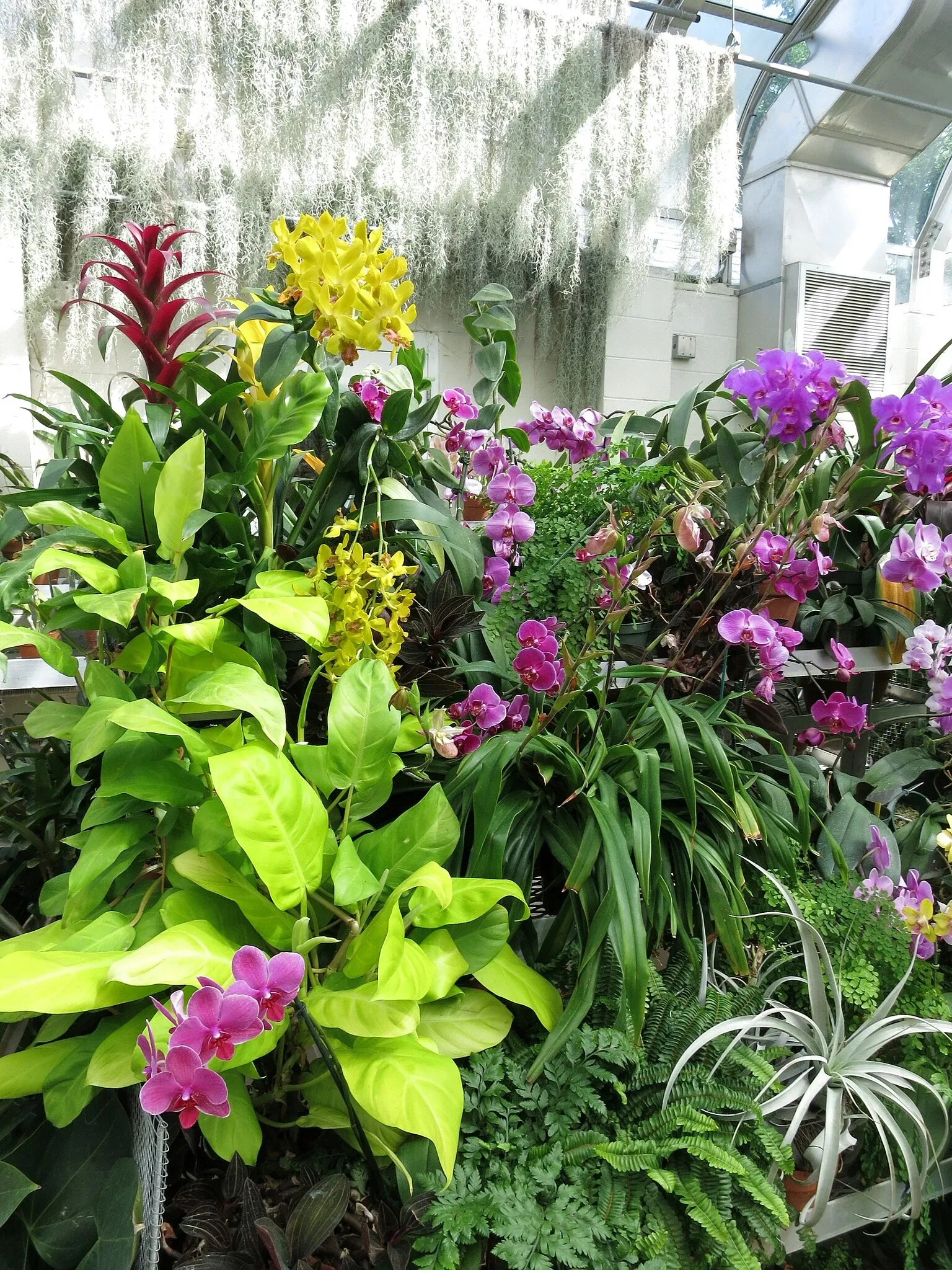 Hillwood Estate, Museum & Gardens