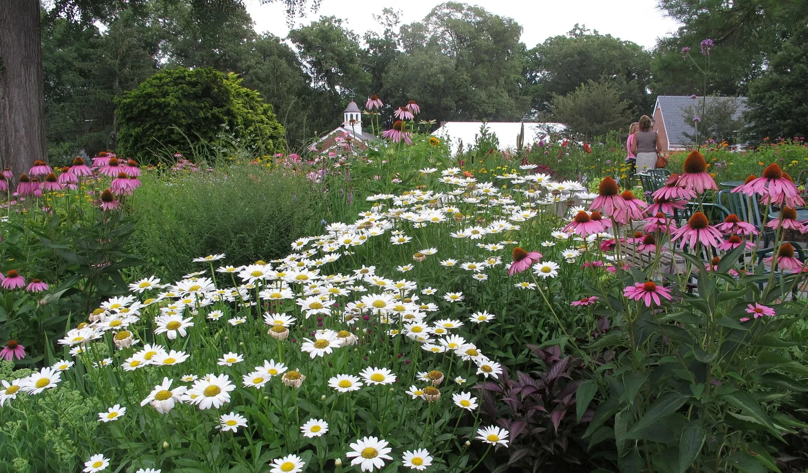 Hillwood Estate, Museum & Gardens