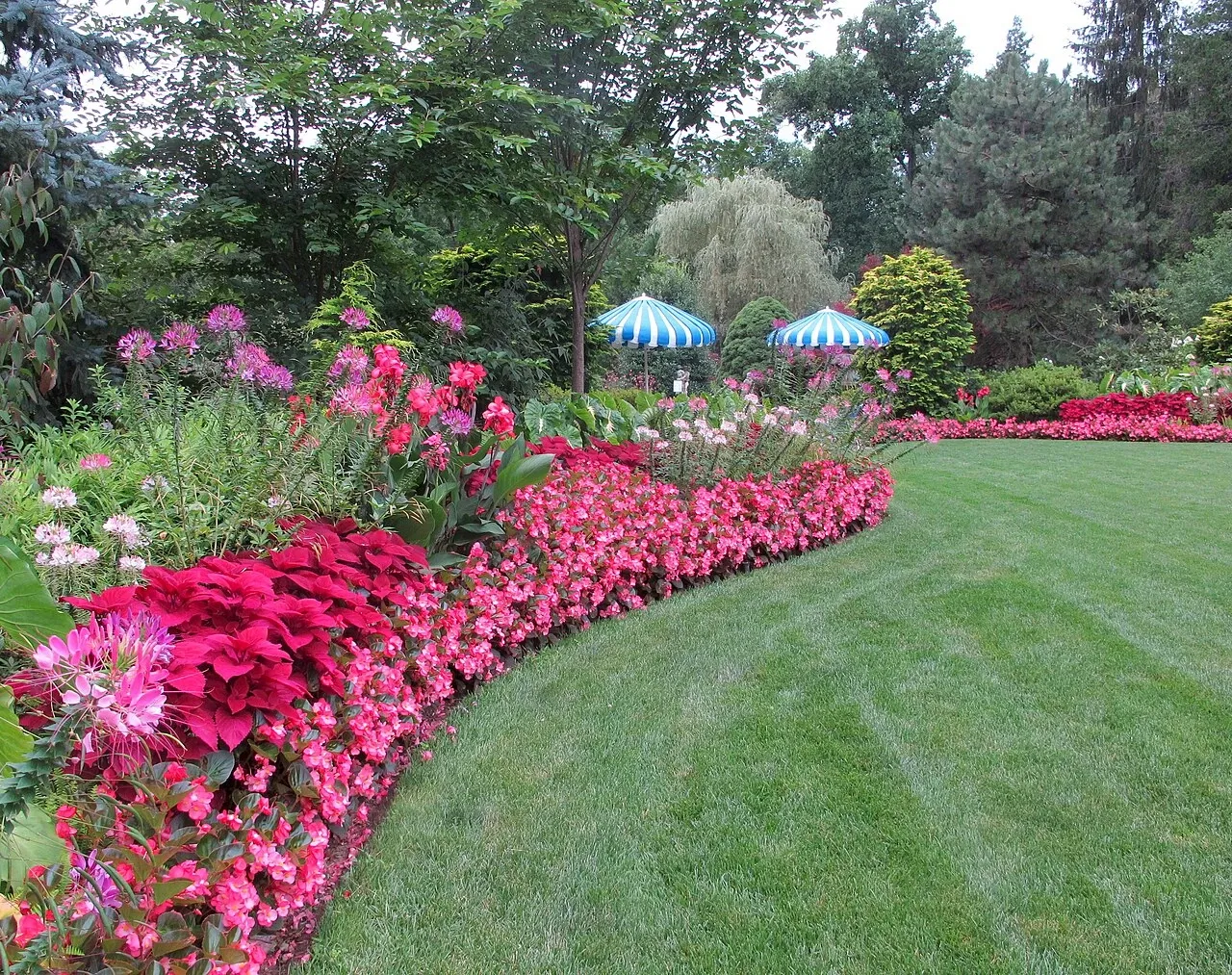 Hillwood Estate, Museum & Gardens