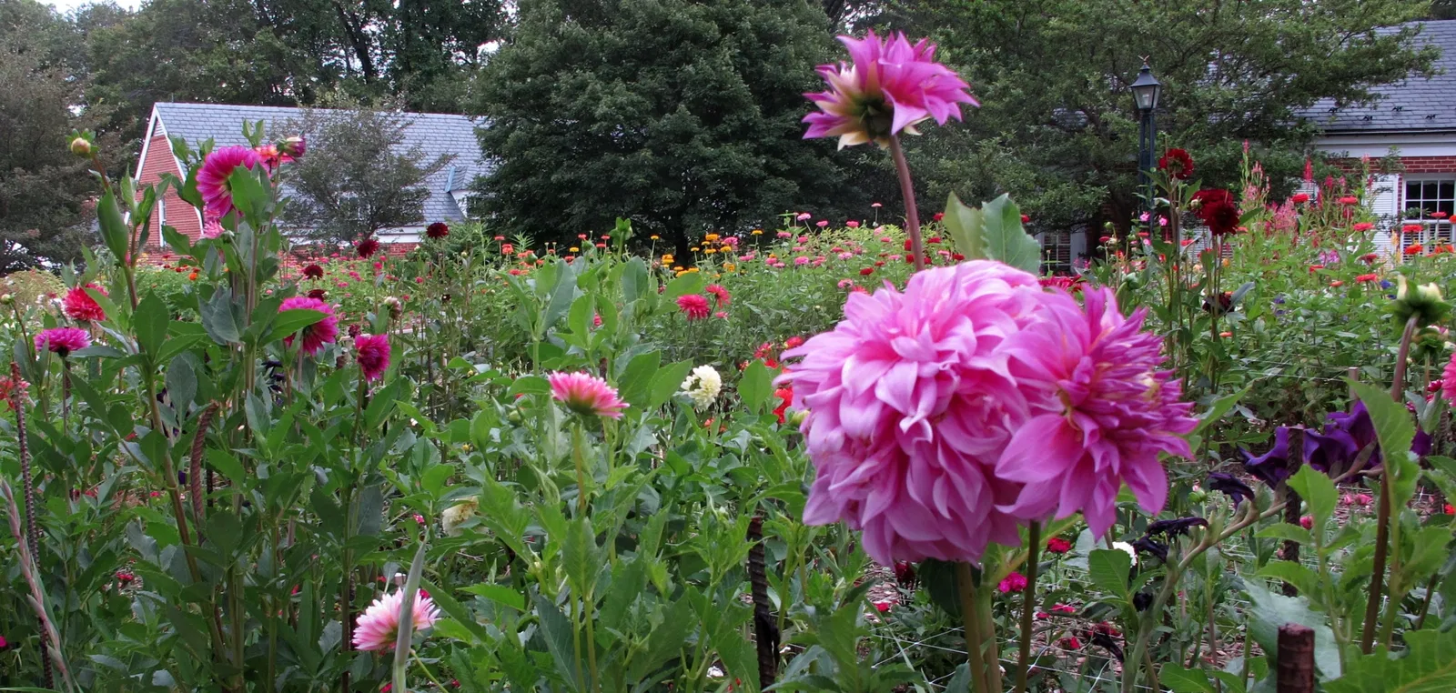 Hillwood Estate, Museum & Gardens