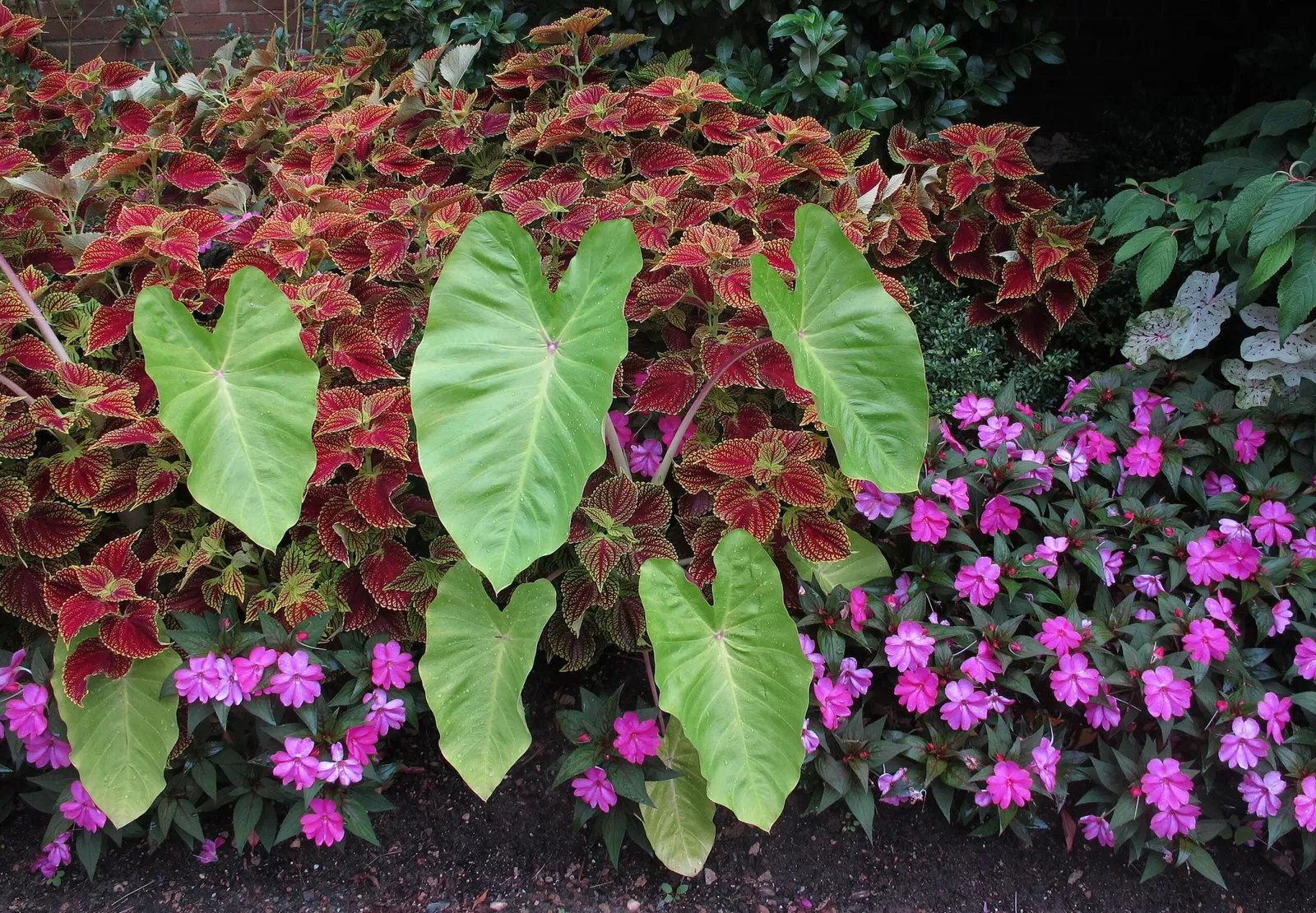 Hillwood Estate, Museum & Gardens