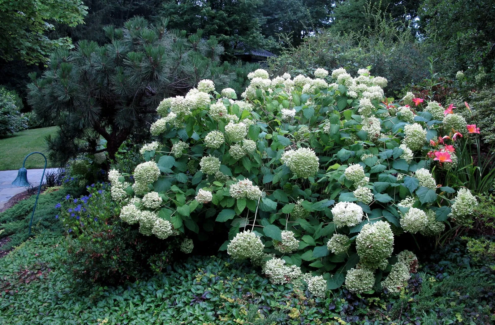 Hillwood Estate, Museum & Gardens