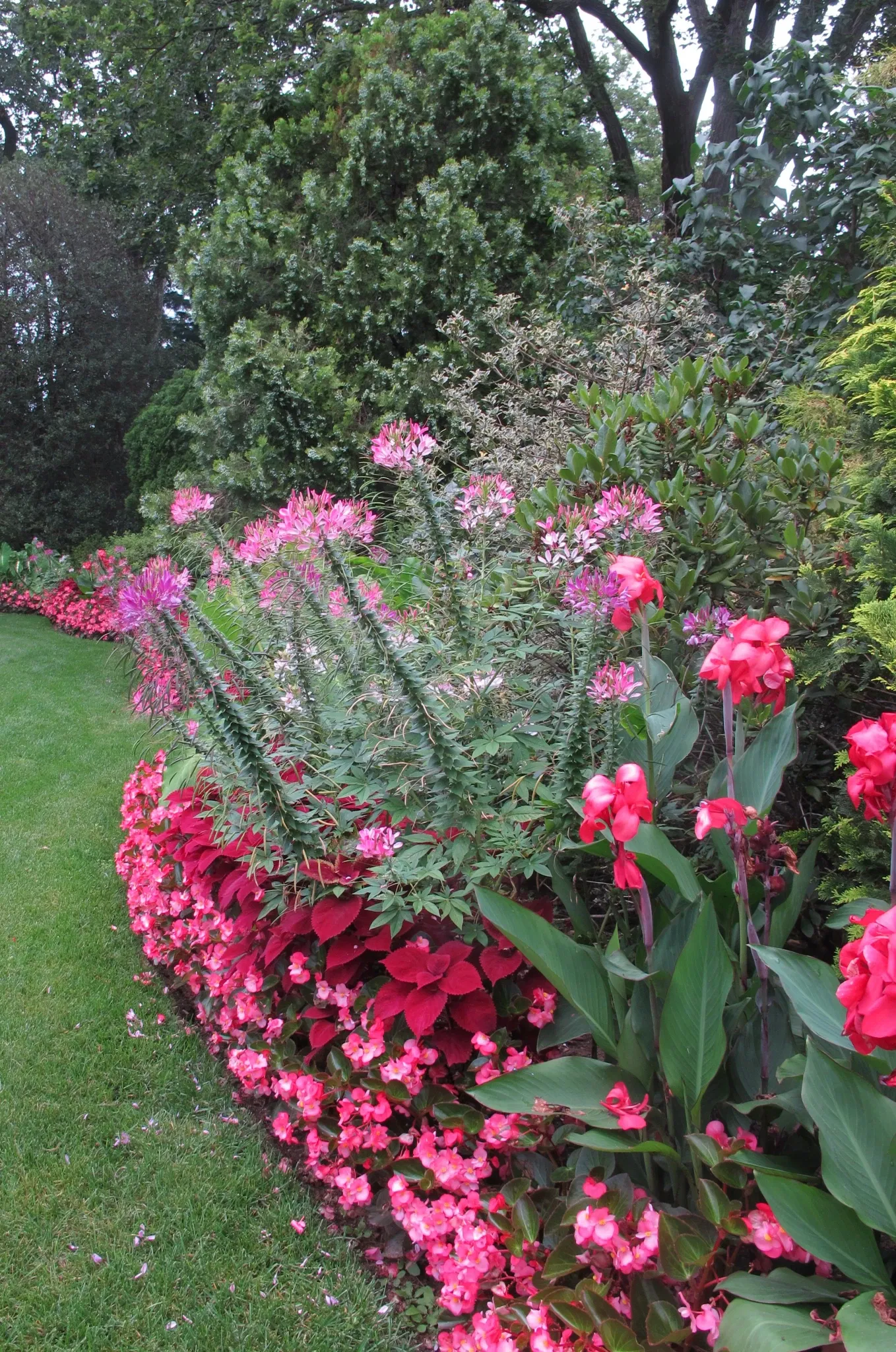 Hillwood Estate, Museum & Gardens